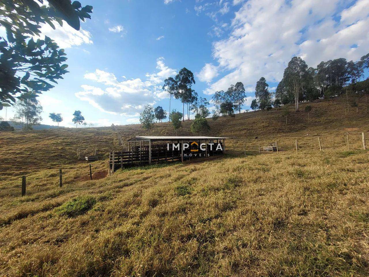 Sítio à venda com 2 quartos, 70000M2 - Foto 14
