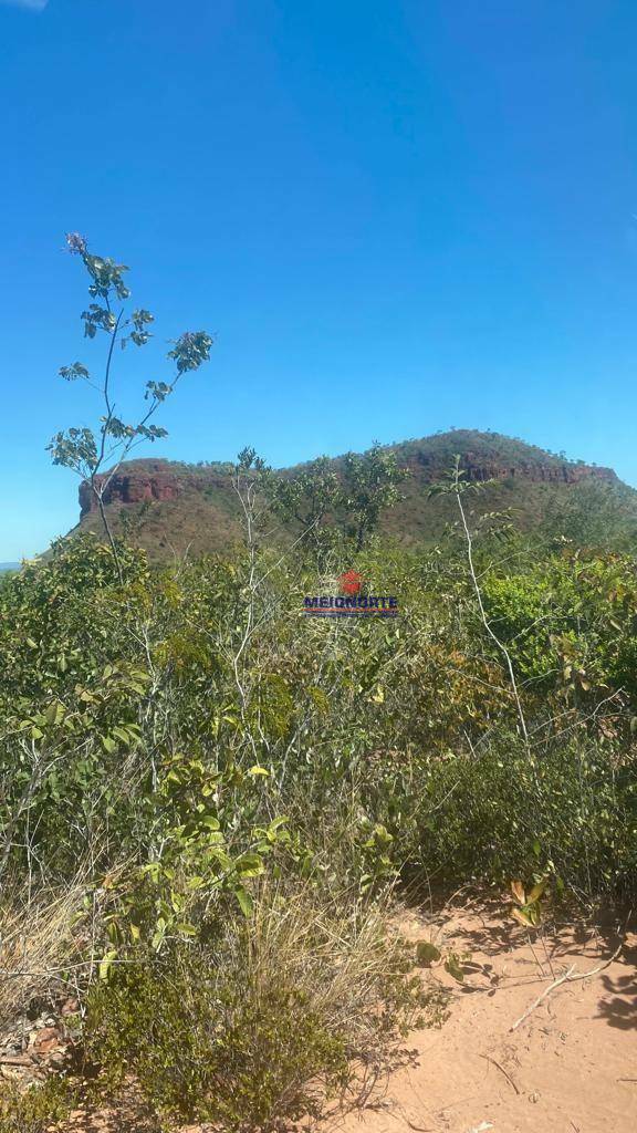 Fazenda-Sítio-Chácara, 10500 hectares - Foto 4