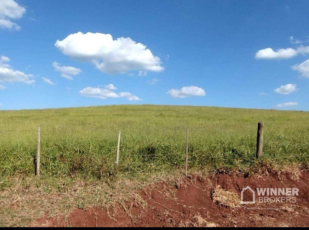 Fazenda à venda com 2 quartos, 2299000M2 - Foto 5