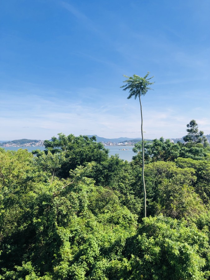 Apartamento, 3 quartos, 93 m² - Foto 9