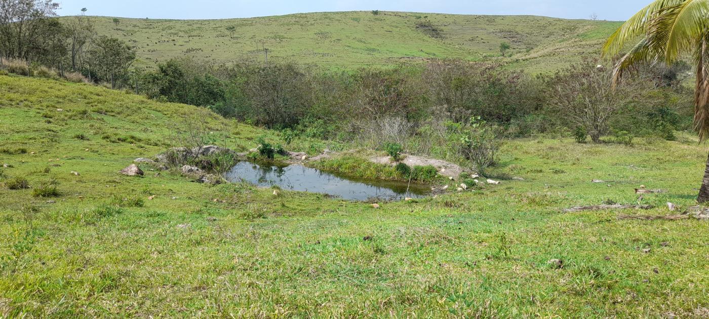 Fazenda à venda com 2 quartos, 20000m² - Foto 18