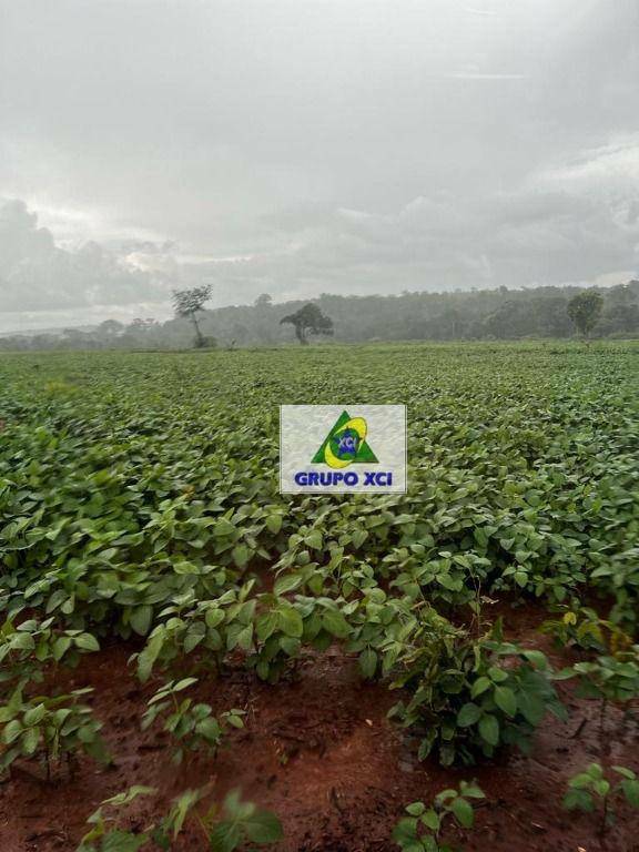 Fazenda à venda, 3388000M2 - Foto 18