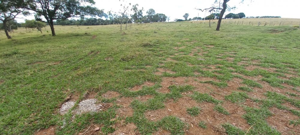Fazenda à venda, 68m² - Foto 20