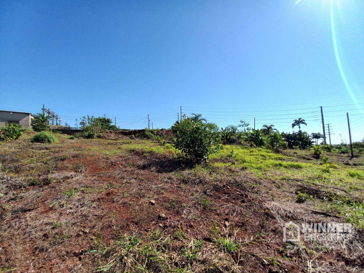 Terreno à venda, 15000M2 - Foto 4