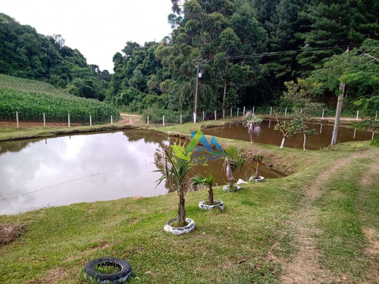 Chácara à venda com 2 quartos, 100m² - Foto 21