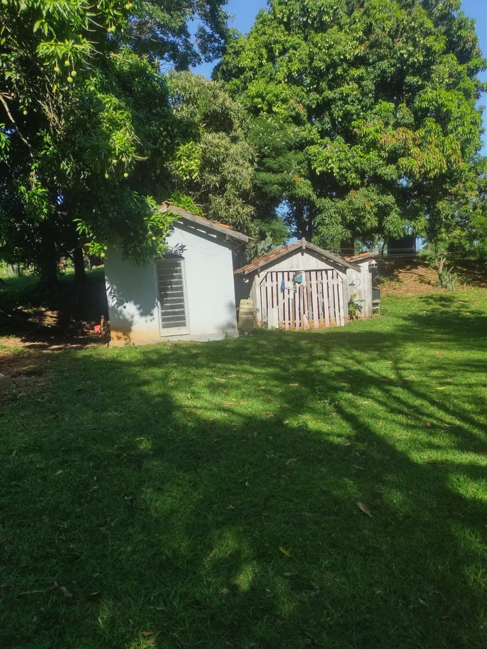 Sítio, 308 m² - Foto 3