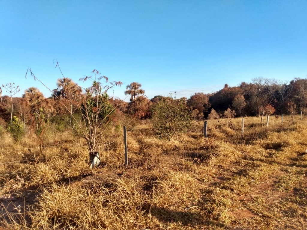 Chácara à venda com 1 quarto, 60m² - Foto 4