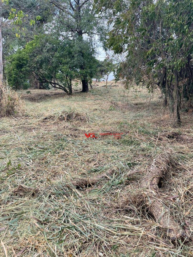 Terreno à venda, 1000M2 - Foto 4