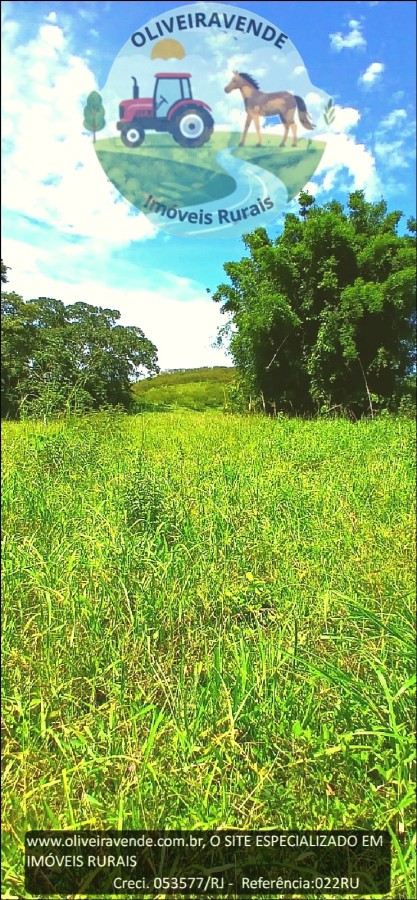 Fazenda à venda com 2 quartos, 24m² - Foto 2
