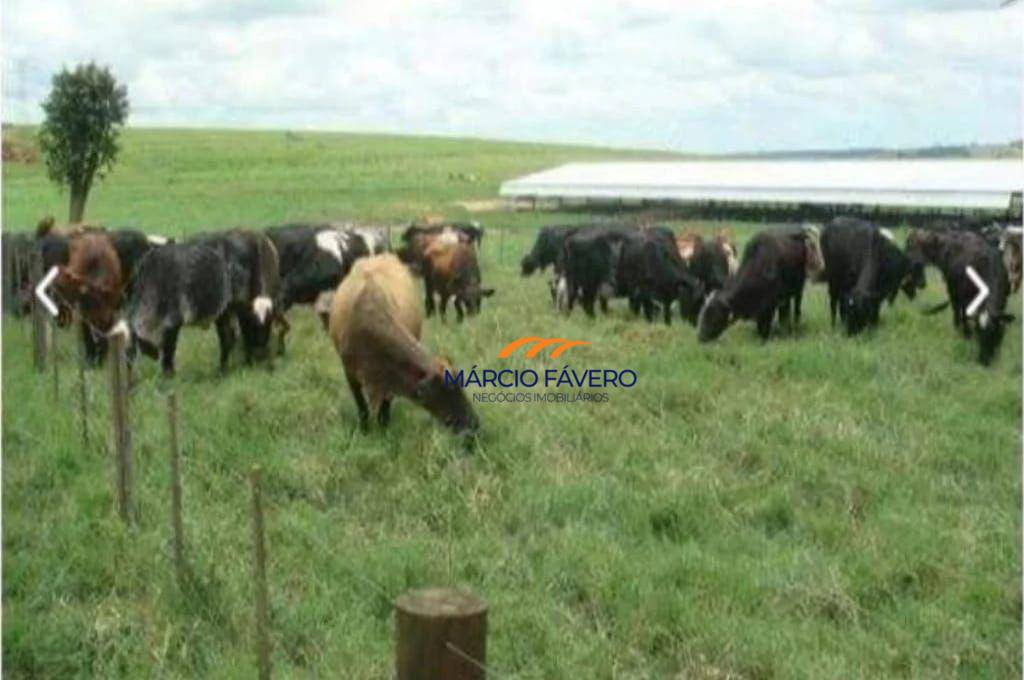 Fazenda, 394 hectares - Foto 1