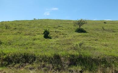 Fazenda à venda com 2 quartos, 145000m² - Foto 19