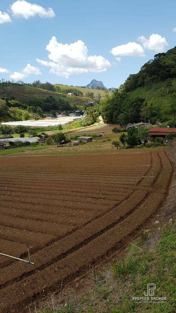 Terreno à venda, 250M2 - Foto 4