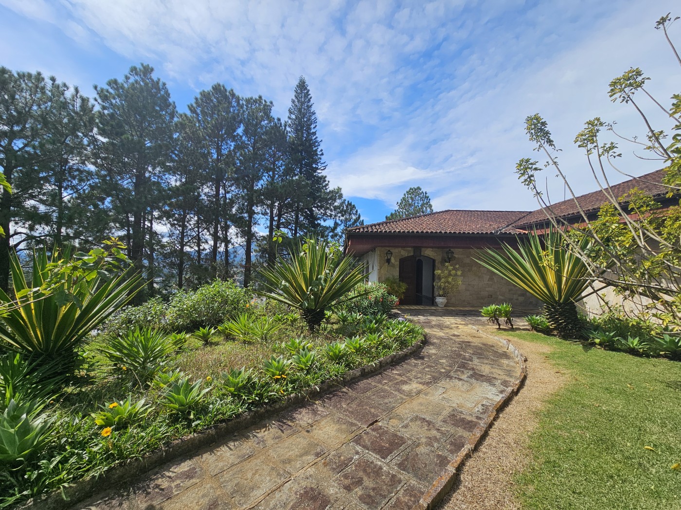 Casa à venda com 7 quartos, 5935m² - Foto 6