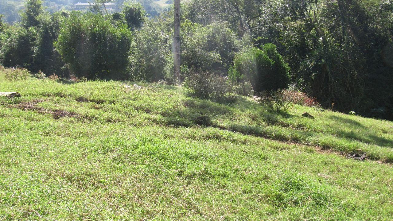 Loteamento e Condomínio à venda, 30000m² - Foto 8