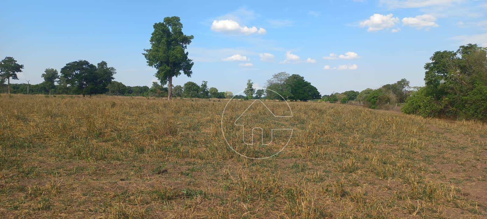 Fazenda à venda, 14500000M2 - Foto 3