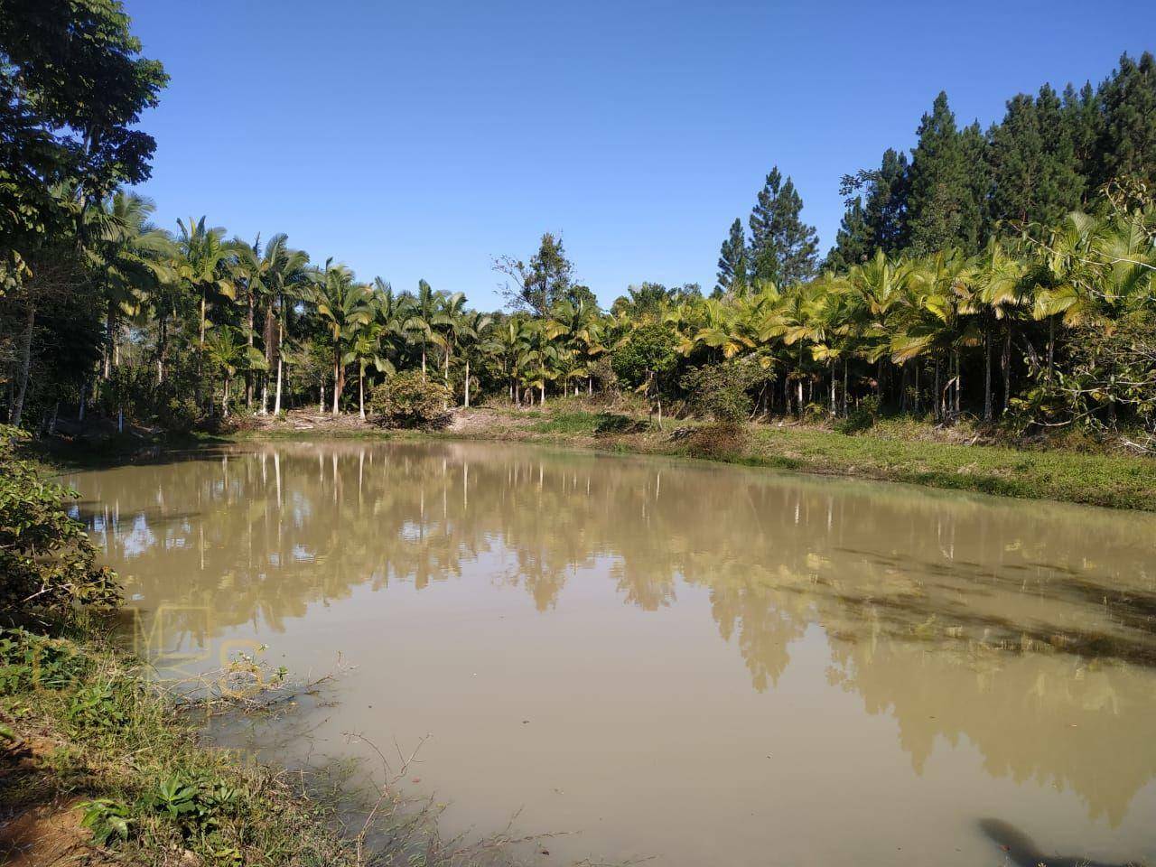 Sítio à venda com 3 quartos, 100000M2 - Foto 30