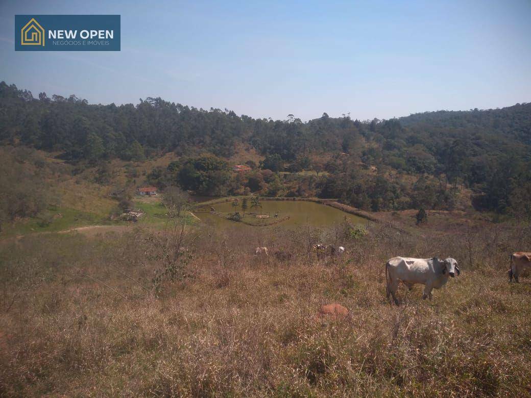 Terreno à venda, 192000M2 - Foto 15