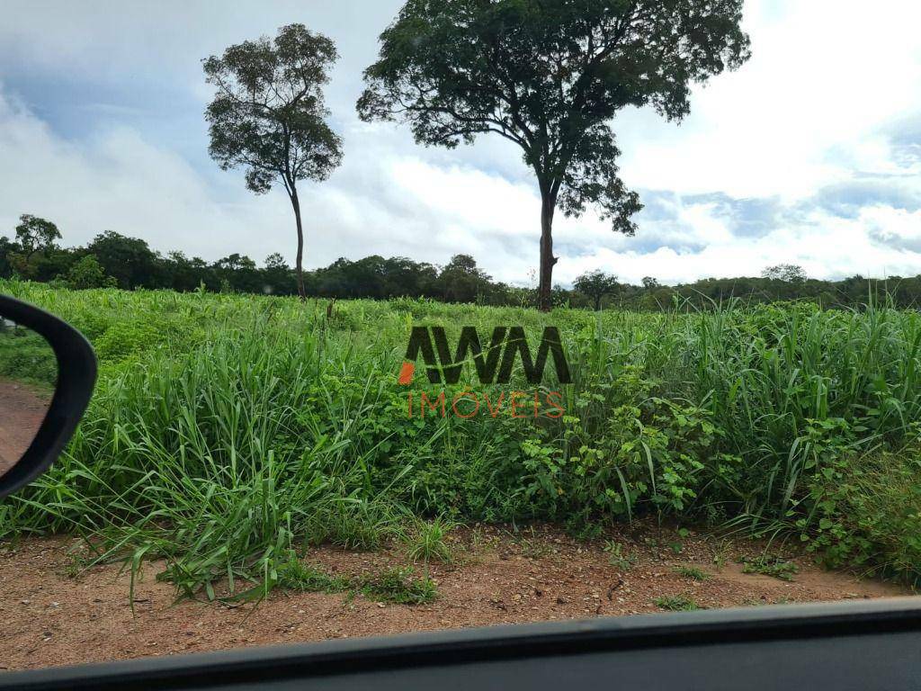 Fazenda à venda, 18220000M2 - Foto 13