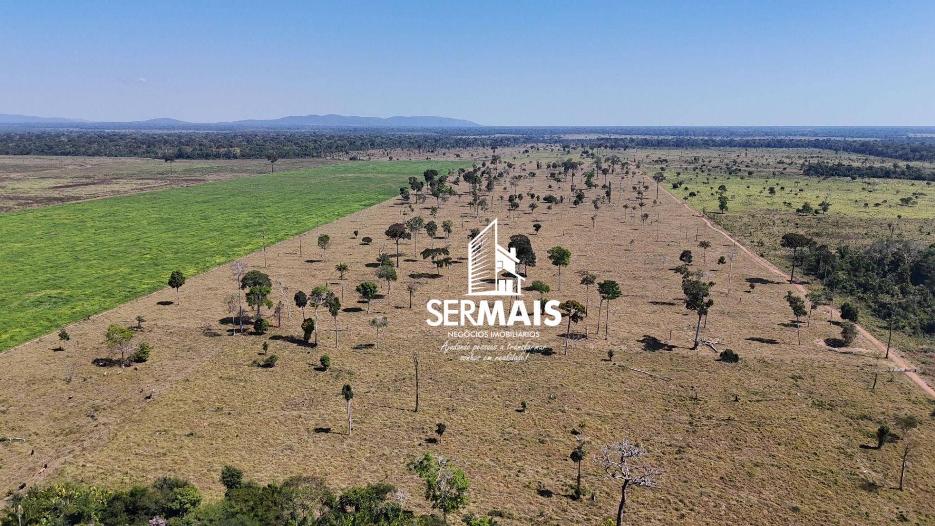 Fazenda-Sítio-Chácara, 2 hectares - Foto 5