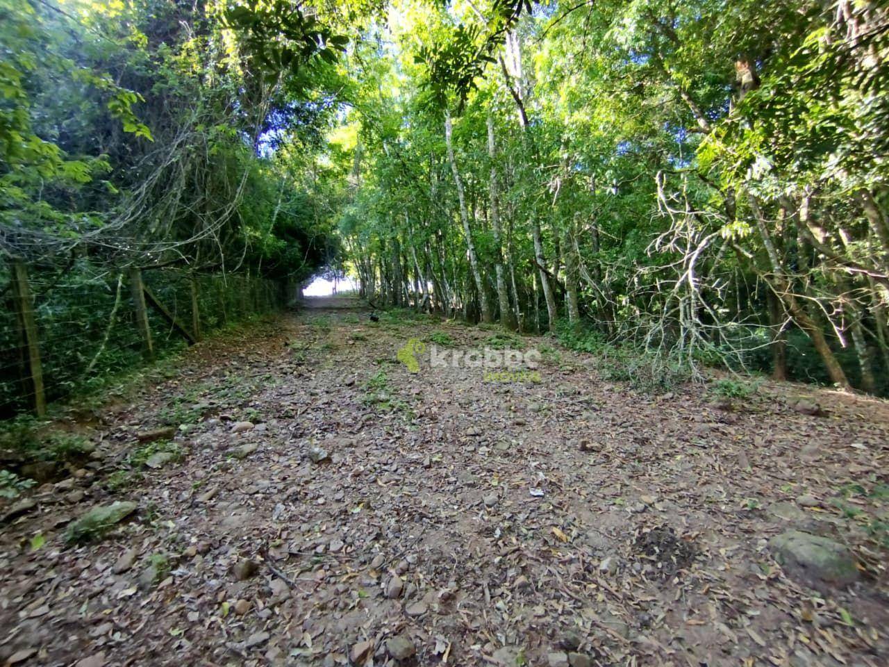 Terreno, 4 hectares - Foto 5