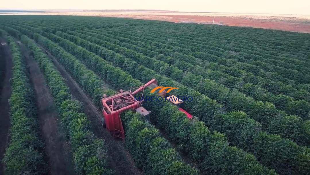 Fazenda, 2050 hectares - Foto 5