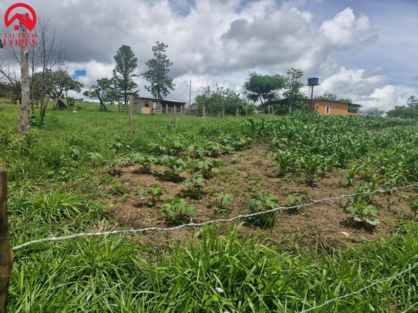 Fazenda à venda com 2 quartos, 120m² - Foto 31