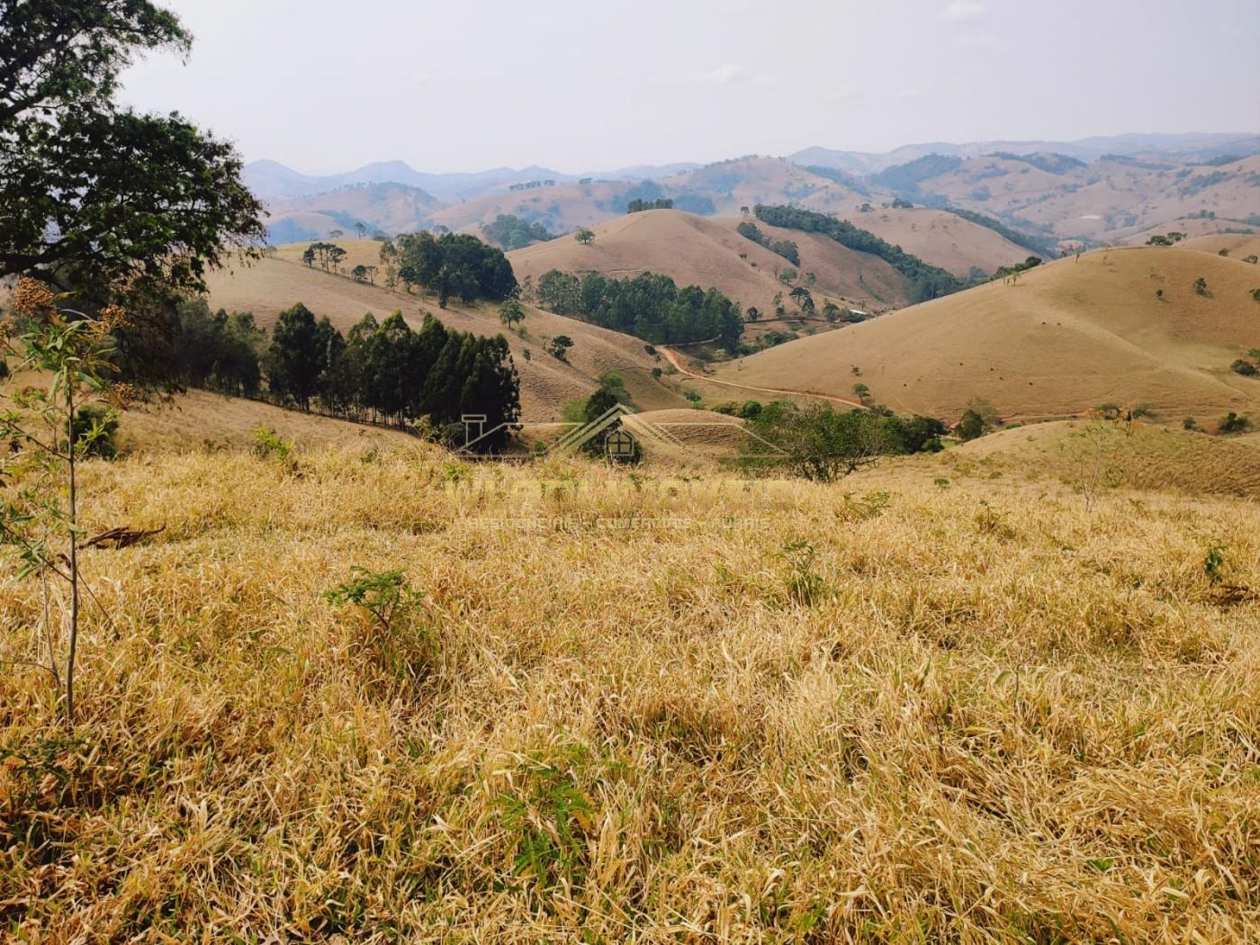 Terreno à venda, 20000m² - Foto 5