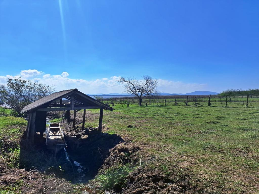 Fazenda à venda com 1 quarto, 90m² - Foto 20