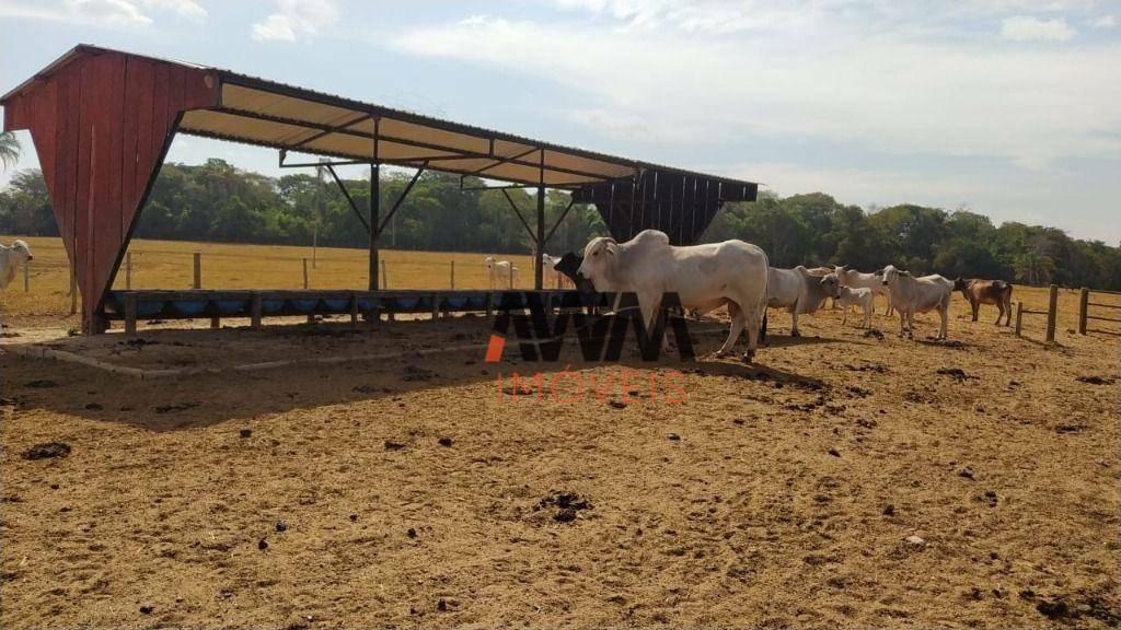 Fazenda à venda, 726000M2 - Foto 18