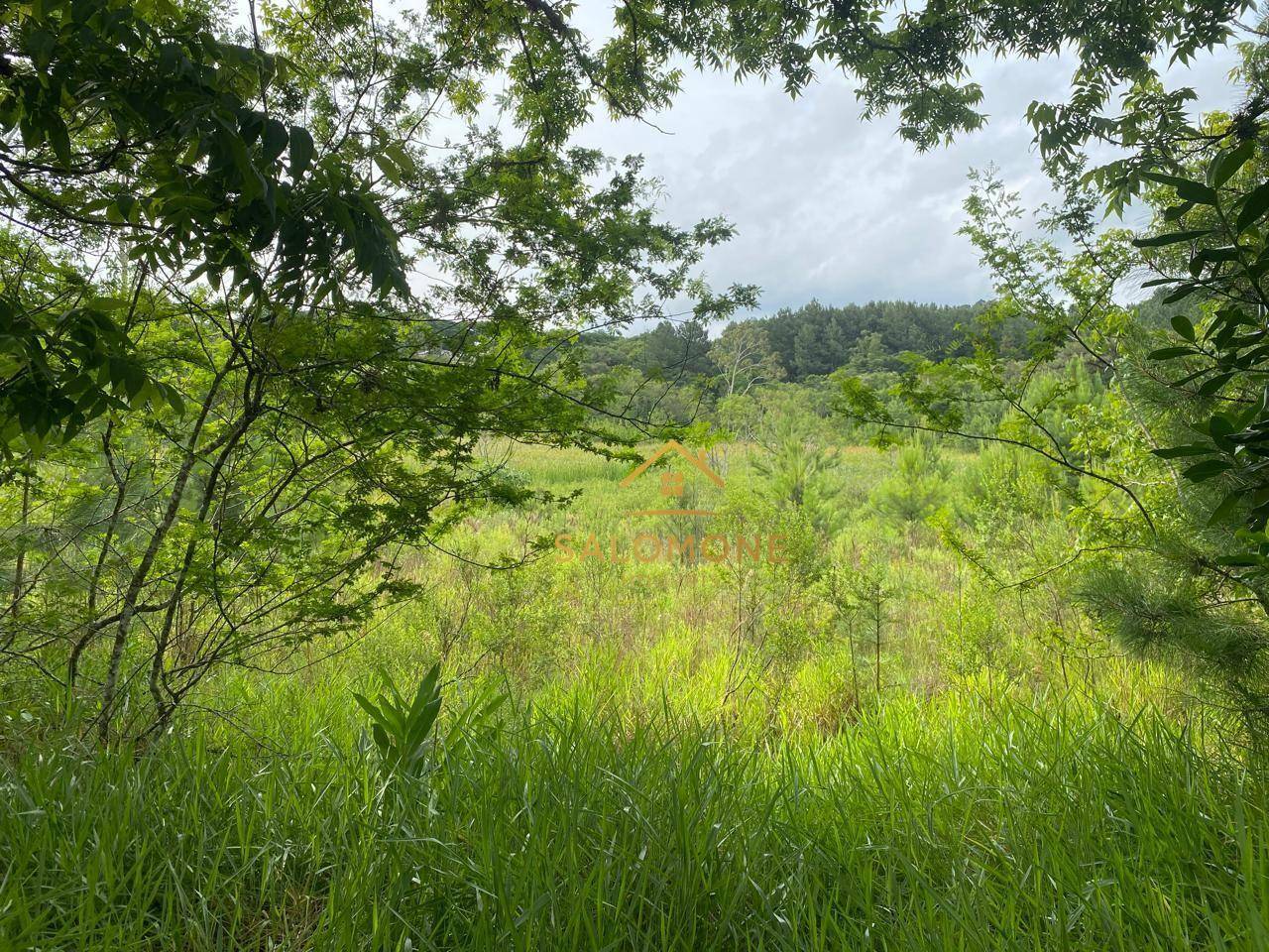 Flat/Apart Hotel, 7 quartos, 1500 m² - Foto 2