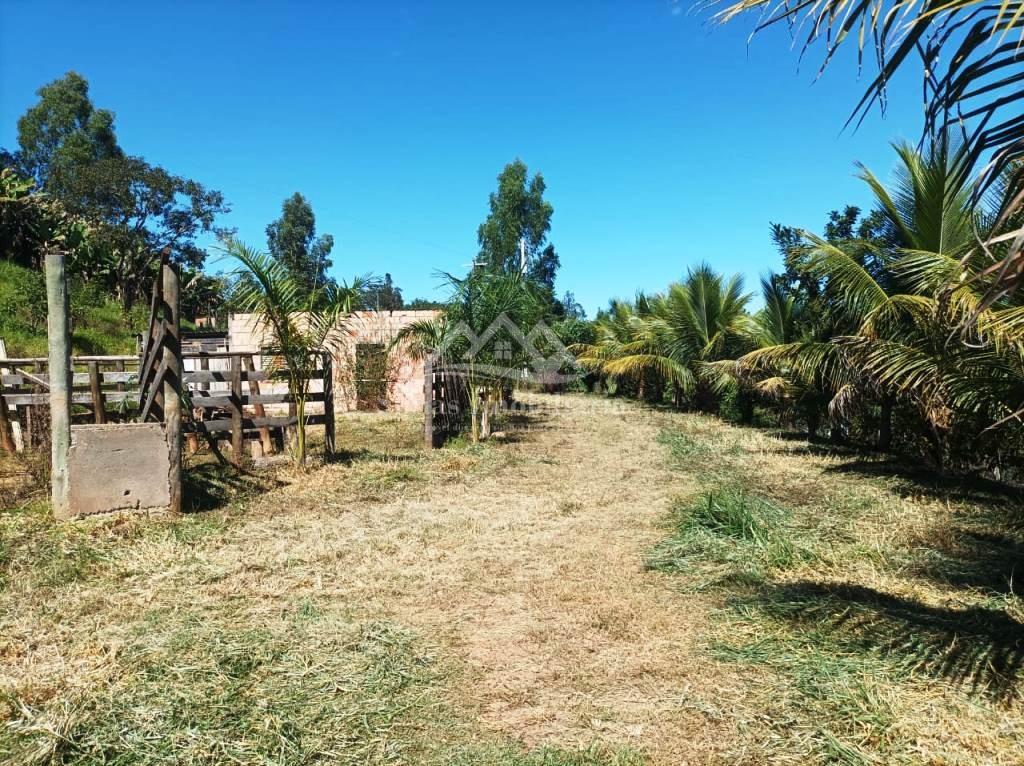 Sítio à venda com 1 quarto, 8000m² - Foto 4