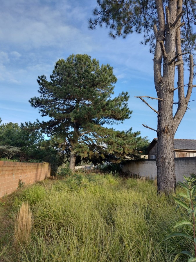 Terreno à venda, 418m² - Foto 2