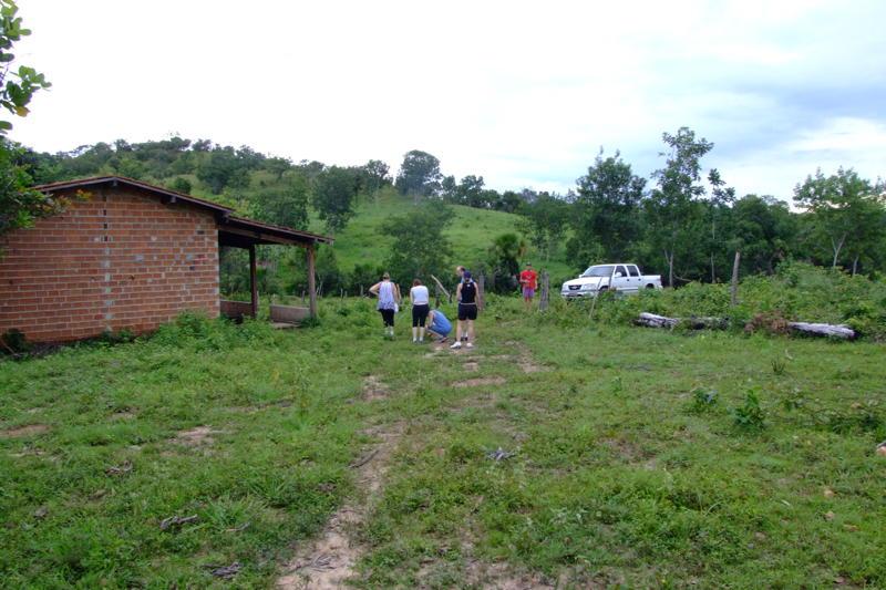 Fazenda à venda - Foto 4