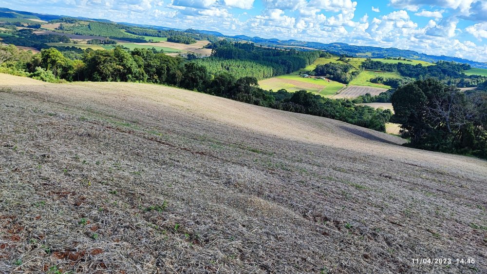 Fazenda à venda, 9m² - Foto 14