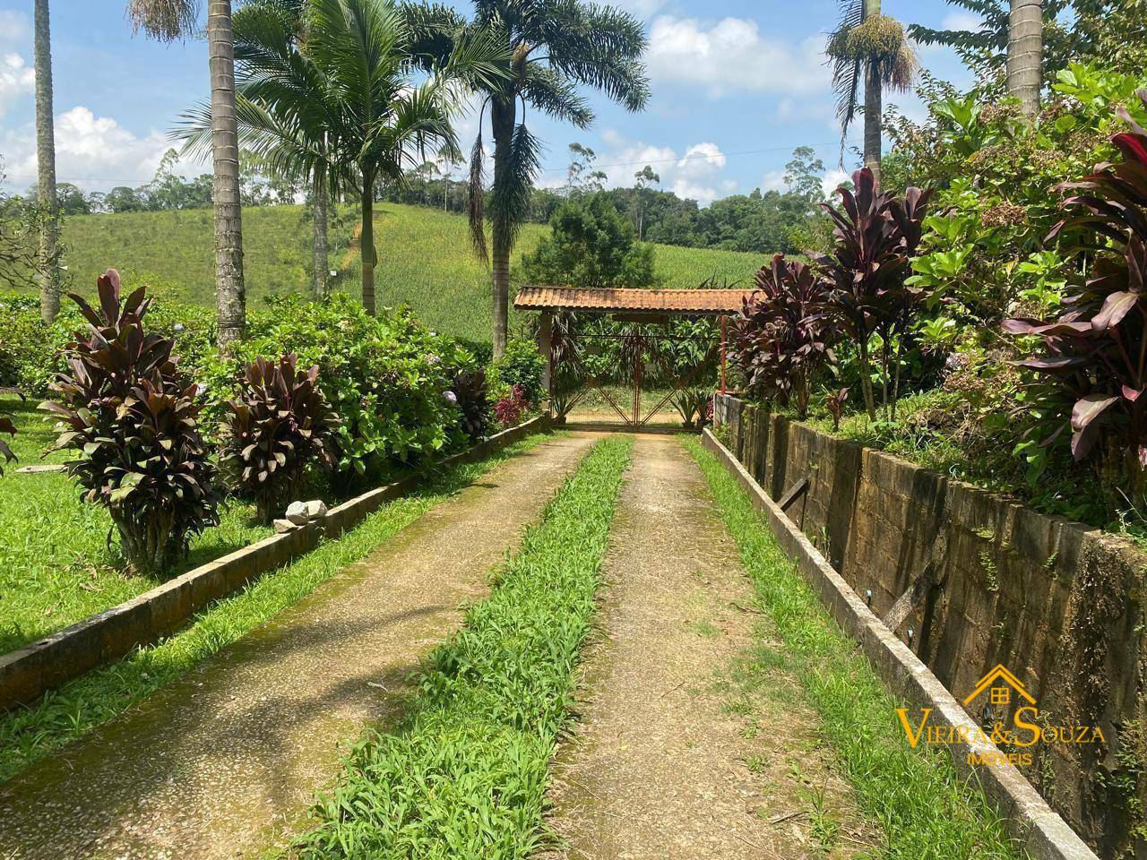 Chácara, 2 quartos, 4 hectares - Foto 2