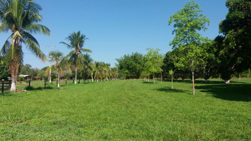 Fazenda à venda, 57000m² - Foto 1