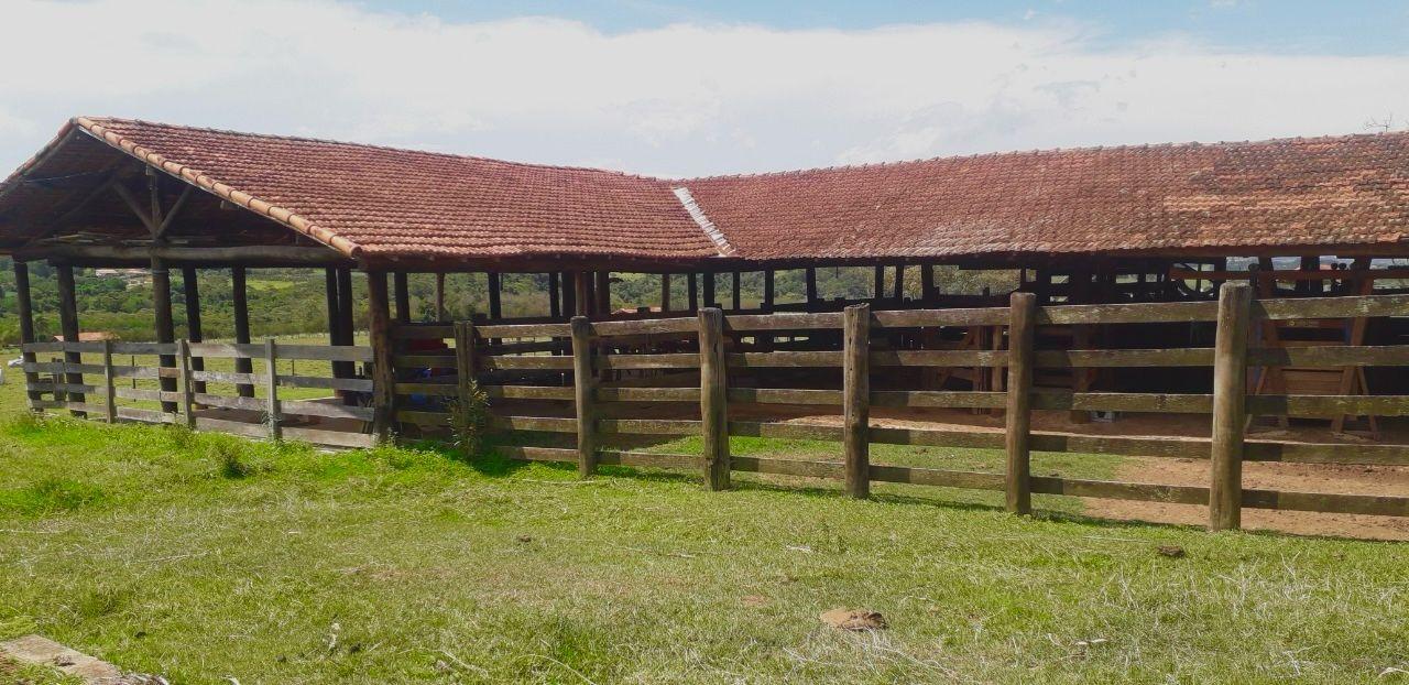 Fazenda à venda com 2 quartos, 919600m² - Foto 2