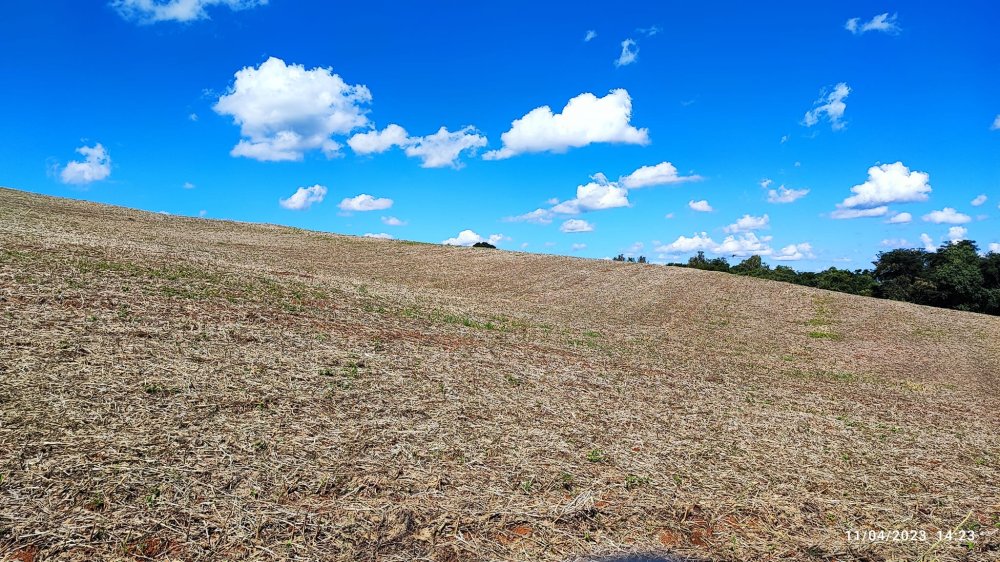 Fazenda à venda, 9m² - Foto 28