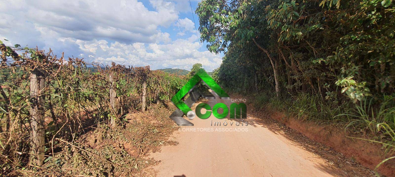 Terreno, 2 hectares - Foto 4