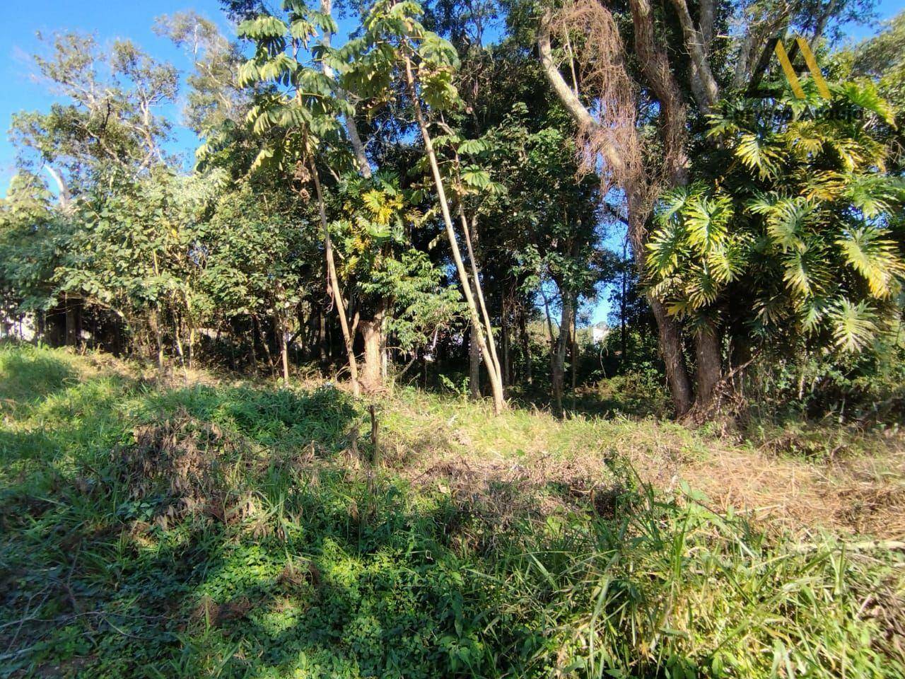 Terreno à venda, 1000M2 - Foto 3