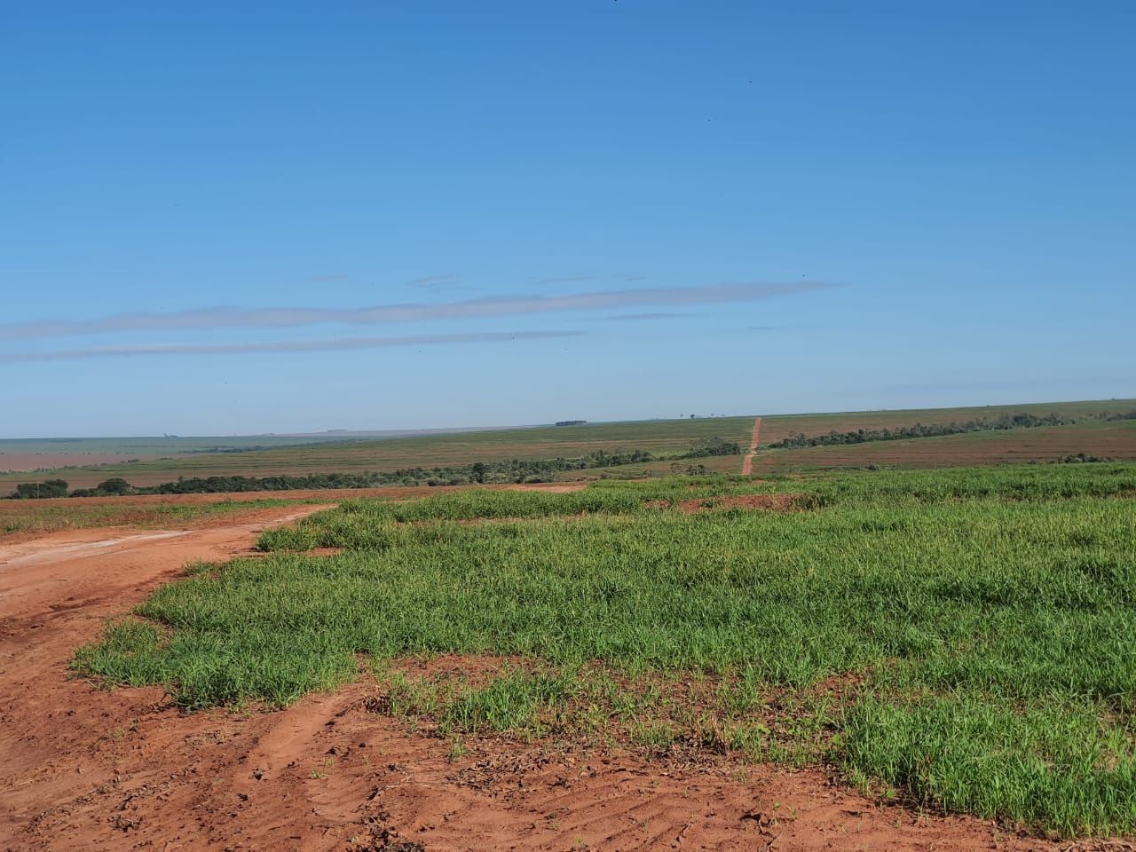 Fazenda à venda, 14530000M2 - Foto 20