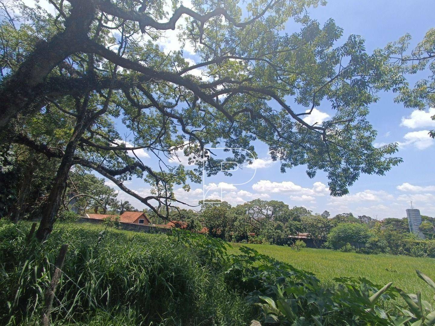 Terreno à venda, 1000M2 - Foto 6