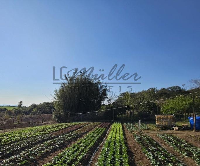Sítio à venda, 62m² - Foto 9