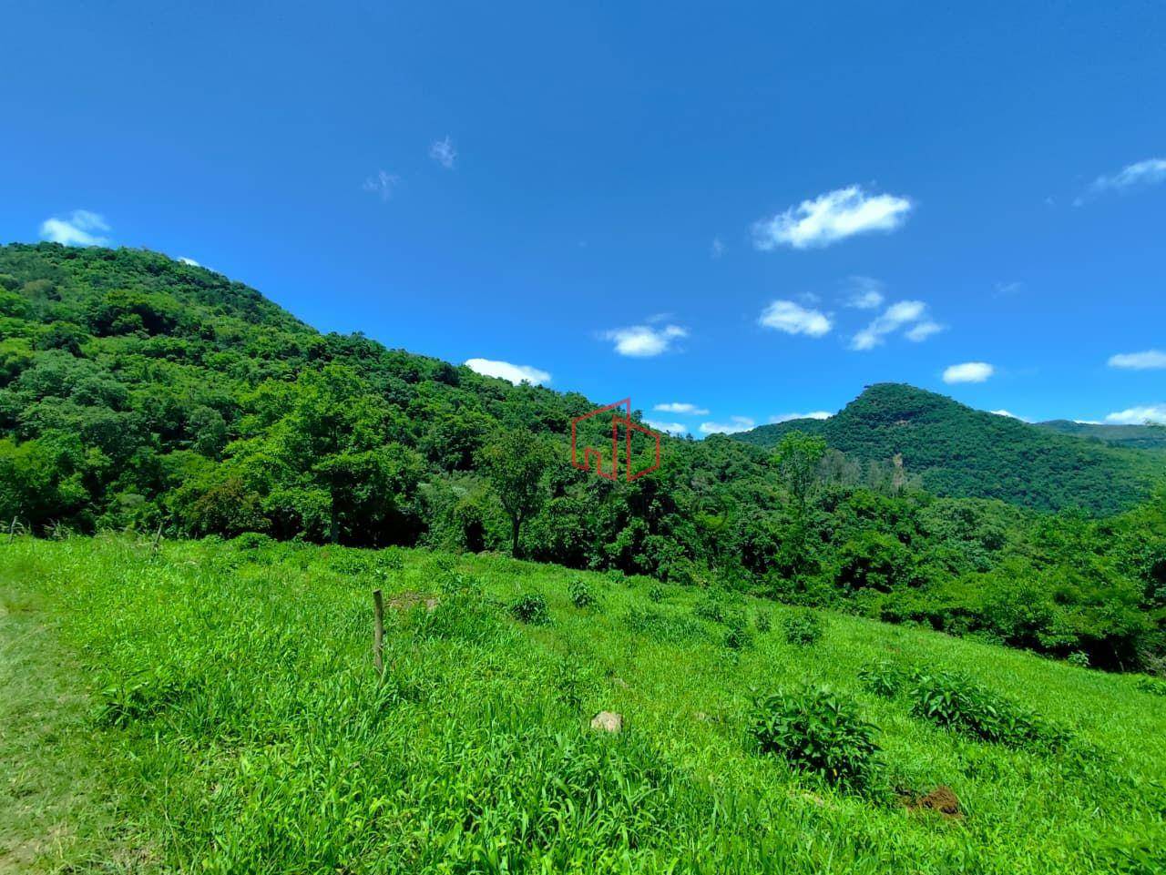 Sítio, 8900 m² - Foto 5