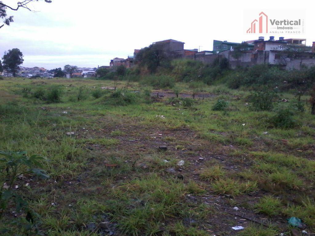 Terreno, 6 hectares - Foto 2
