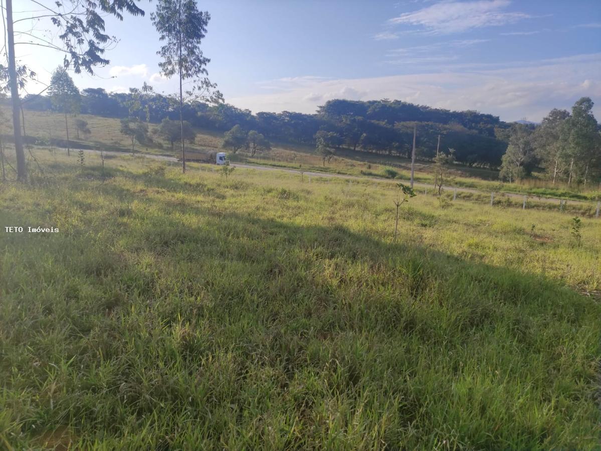 Terreno, 3639 m² - Foto 5