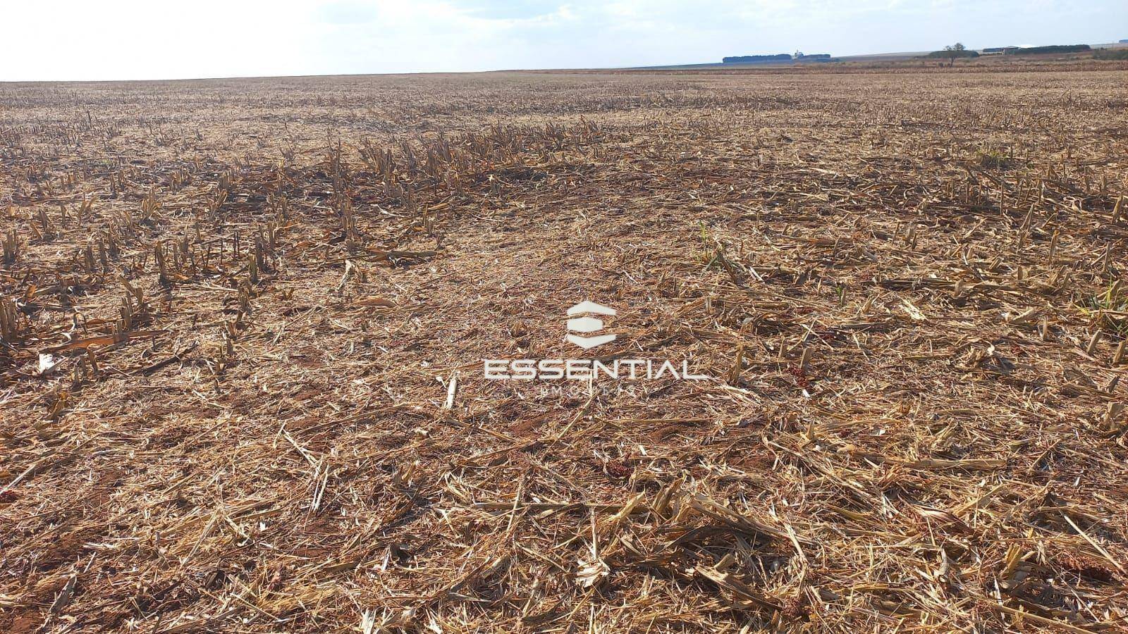 Fazenda, 1143 hectares - Foto 5