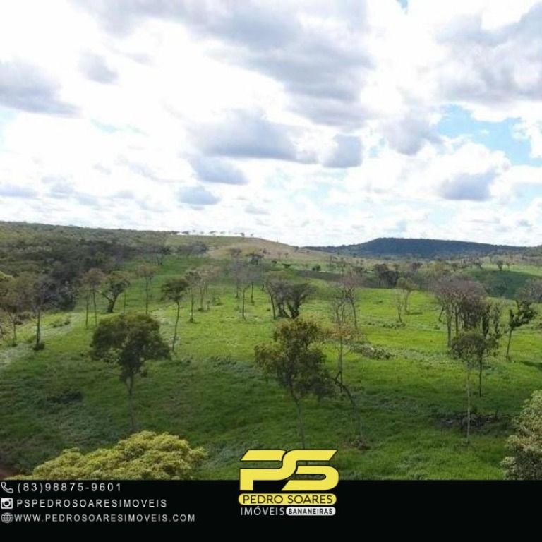 Fazenda à venda, 50820M2 - Foto 2