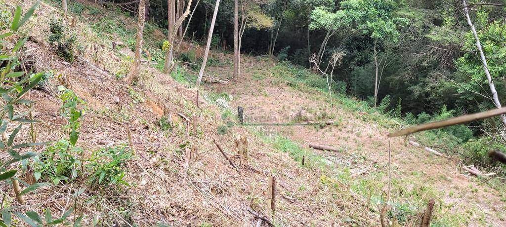 Loteamento e Condomínio à venda, 1750M2 - Foto 10