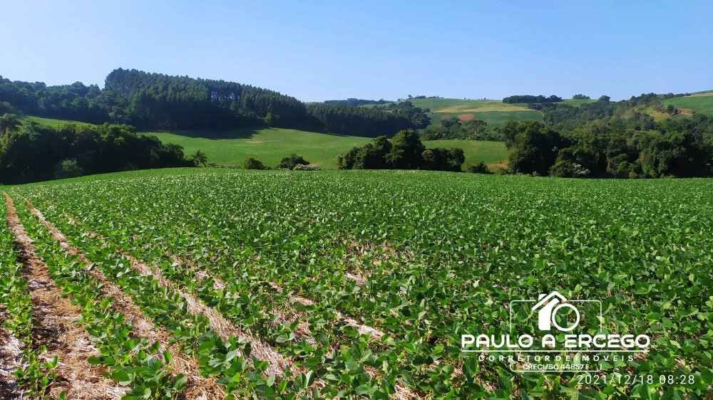 Fazenda à venda, 181m² - Foto 1